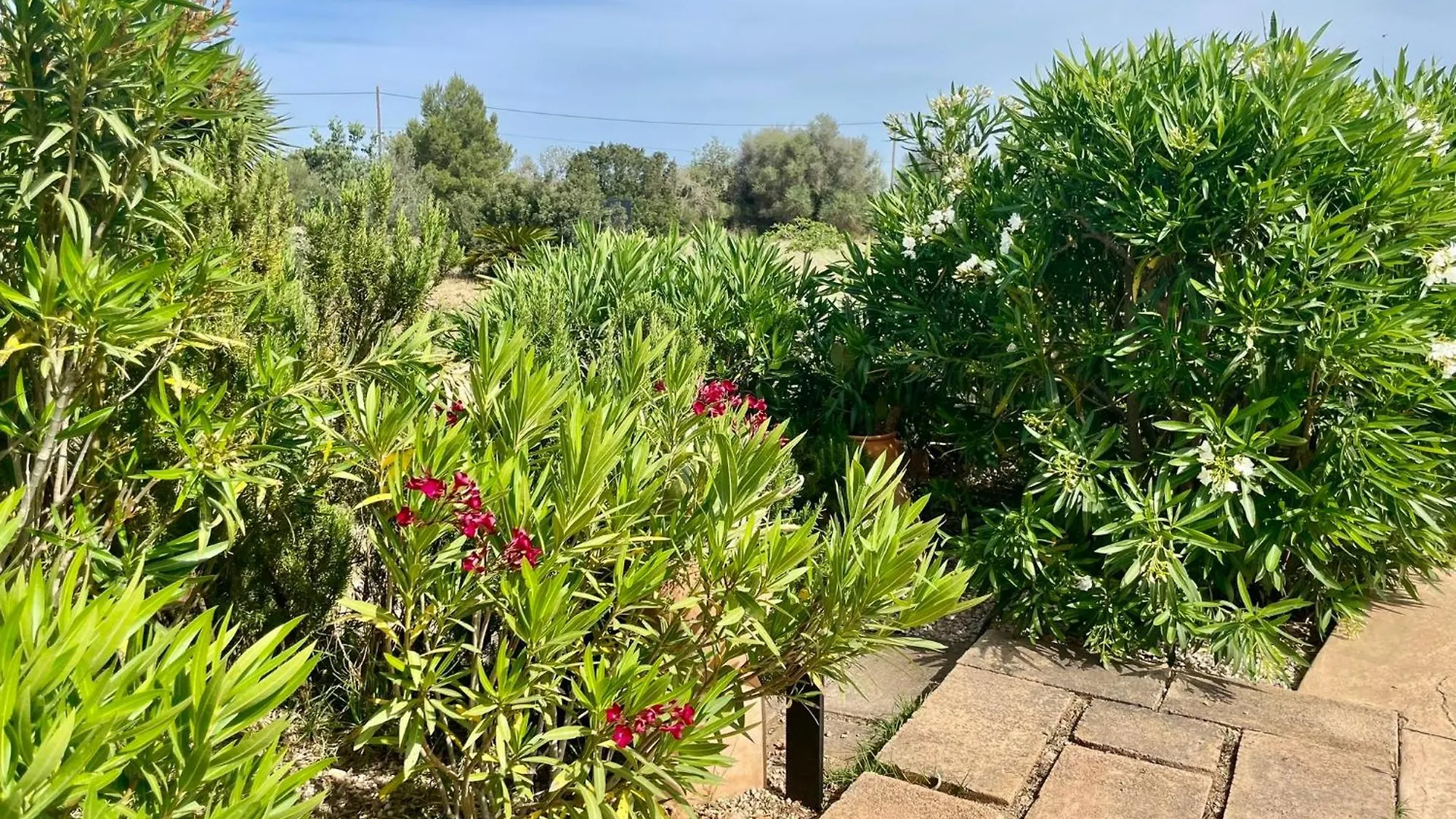 Finca Jenta del Sol Llucmajor  0*, Llucmajor (Mallorca)